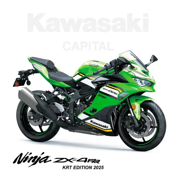 Kawasaki Ninja ZX-4RR ABS