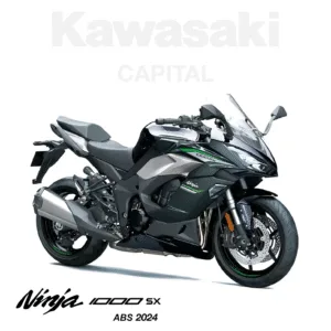 Kawasaki Ninja 1000SX